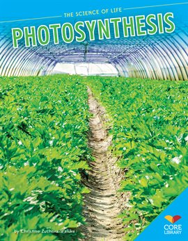 Cover image for Photosynthesis