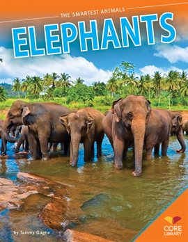 Cover image for Elephants