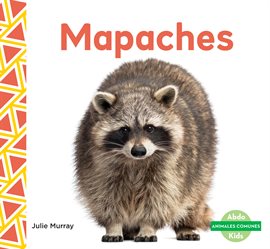 Cover image for Mapaches (Raccoons)