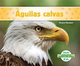 Cover image for Águilas calvas (Bald Eagles)