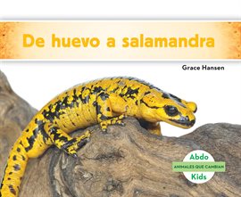 Cover image for De huevo a salamandra (Becoming a Salamander )
