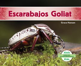 Cover image for Escarabajos Goliat (Goliath Beetles)