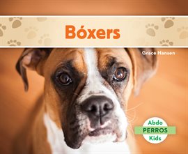 Cover image for Bóxers (Boxers)