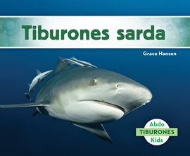 Cover image for Tiburones Sarda (Bull Sharks)