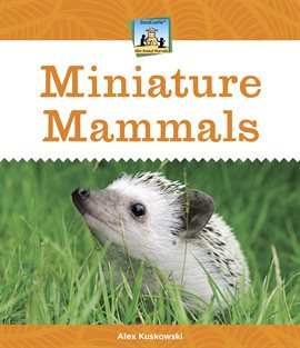 Imagen de portada para Miniature Mammals
