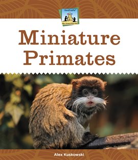 Imagen de portada para Miniature Primates