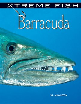 Cover image for Barracuda