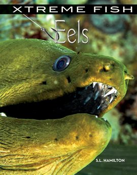 Cover image for Eels