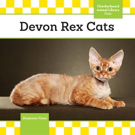 Cover image for Devon Rex Cats