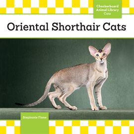 Cover image for Oriental Shorthair Cats