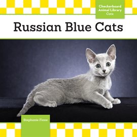 Cover image for Russian Blue Cats