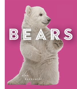 Cover image for Bears