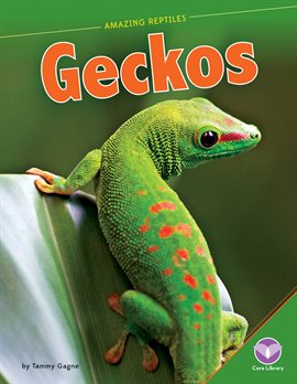 Cover image for Geckos