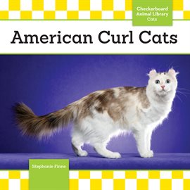 Imagen de portada para American Curl Cats