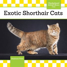 Imagen de portada para Exotic Shorthair Cats
