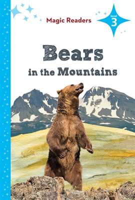 Cover image for Bears in the Mountains