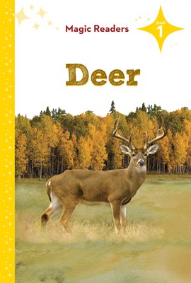 Cover image for Deer