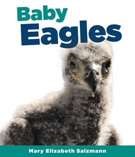 Cover image for Baby Eagles