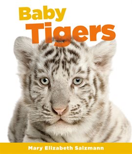 Cover image for Baby Tigers