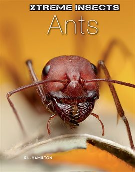 Cover image for Ants