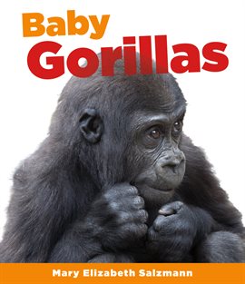 Imagen de portada para Baby Gorillas