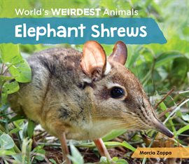 Cover image for Elephant Shrews