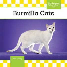 Cover image for Burmilla Cats
