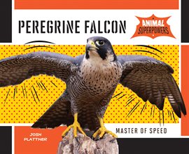 Cover image for Peregrine Falcon