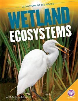 Cover image for Wetland Ecosystems