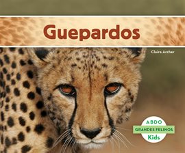 Cover image for Guepardos (Cheetahs)