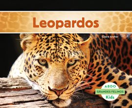 Cover image for Leopardos (Leopards)