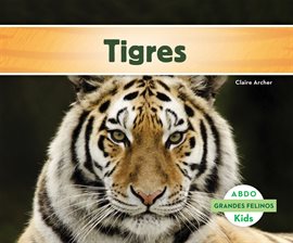 Cover image for Tigres (Tigers)