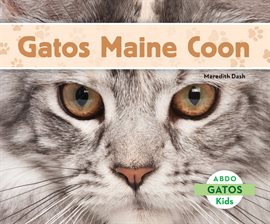 Cover image for Gatos Maine Coon (Maine Coon Cats)