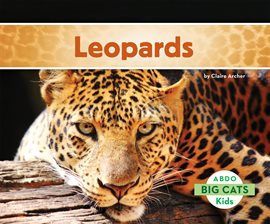 Cover image for Leopards