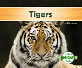 Cover image for Tigers