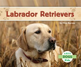 Cover image for Labrador Retrievers