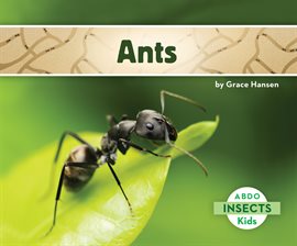 Cover image for Ants