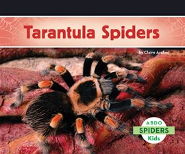 Cover image for Tarantula Spiders