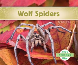 Cover image for Wolf Spiders