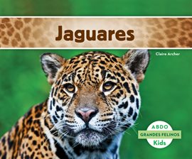 Cover image for Jaguares