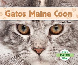 Cover image for Gatos Maine Coon