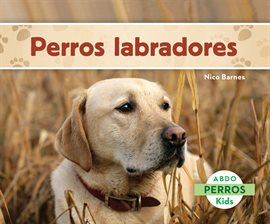 Cover image for Perros labradores (Labrador Retrievers)