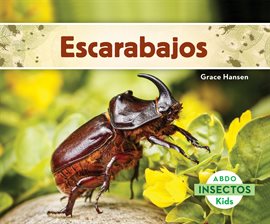 Cover image for Escarabajos (Beetles)