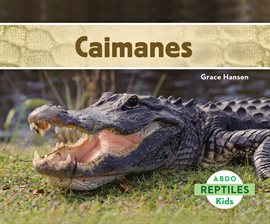 Cover image for Caimanes (Alligators)
