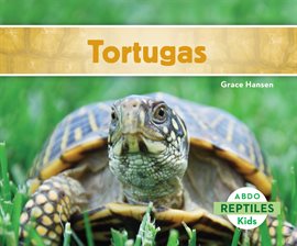 Cover image for Tortugas (Turtles)