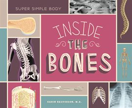 Cover image for Inside the Bones