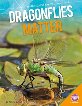 Cover image for Dragonflies Matter