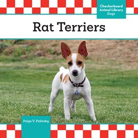 Cover image for Rat Terriers