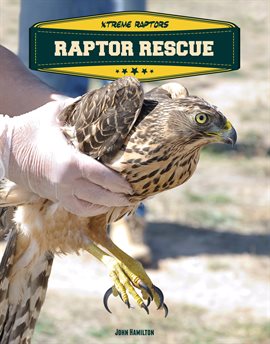 Cover image for Raptor Rescue