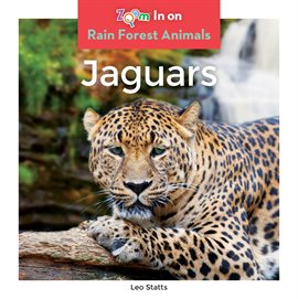 Cover image for Jaguars